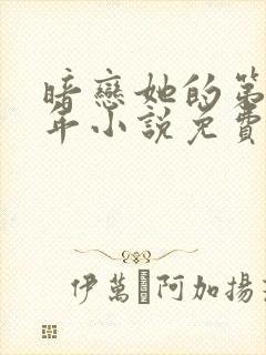 暗恋她的第十一年小说免费阅读