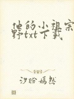 他的小祖宗甜又野txt下载