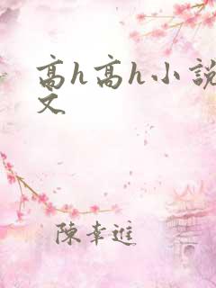 高h高h小说爽文