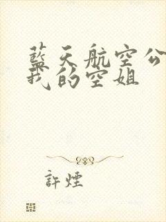 蓝天航空公司之我的空姐