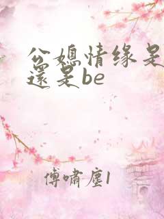 公媳情缘是he还是be