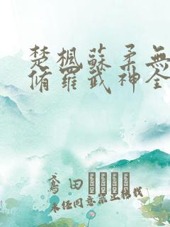 楚枫苏柔无弹窗修罗武神全文免费阅读