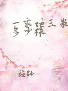 一亩地玉米大概多少株
