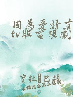 因为爱情有幸福tv版电视剧