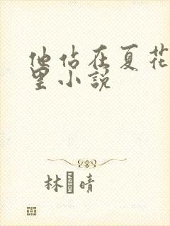 他站在夏花绚烂里小说