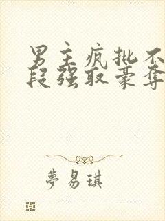男主疯批不择手段强取豪夺的古言