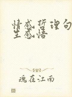 情感哲理句子人生感悟