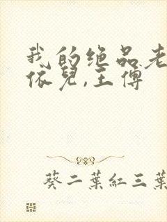 我的绝品老师柳依儿,王傅
