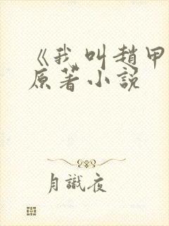 《我叫赵甲第》原著小说