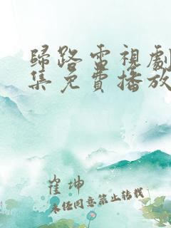 归路电视剧30集免费播放