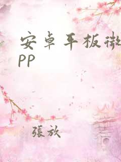 安卓平板微信app