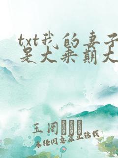 txt我的妻子是大乘期大佬下载
