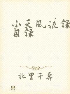小天风流录全文目录