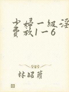 少妇一级淫片免费放1一6