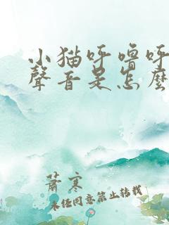 小猫呼噜呼噜的声音是怎么回事