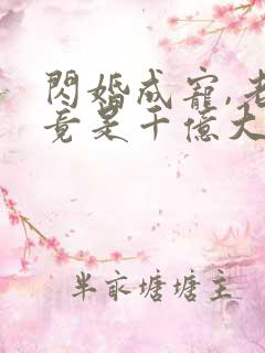 闪婚成宠,老公竟是千亿大佬i