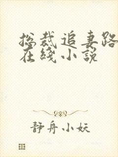 总裁追妻路漫漫在线小说