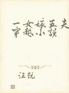 一女嫁五夫姓苏穿越小说
