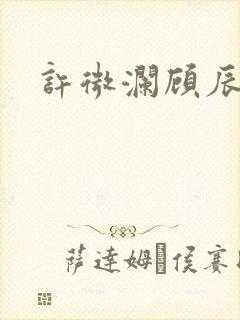 许微澜顾辰结局