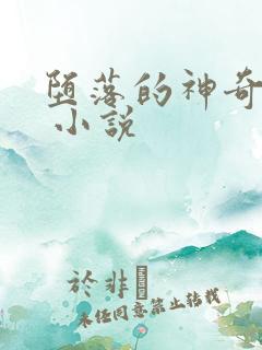 堕落的神奇女侠 小说