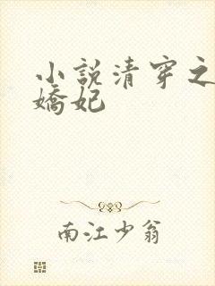 小说清穿之太子娇妃