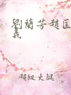 刘兰芳赵匡胤演义