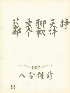 蓝票聊天挣钱是哪个软件