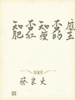 知否知否应是绿肥红瘦的主题曲是什么
