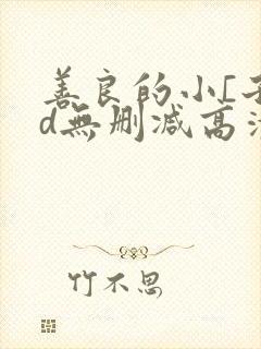 善良的小[子hd无删减高清电影