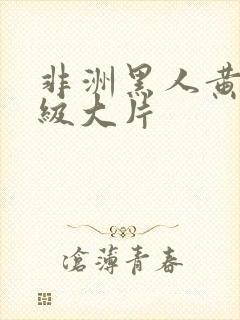 非洲黑人黄色一级大片