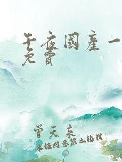 午夜国产一级片免费
