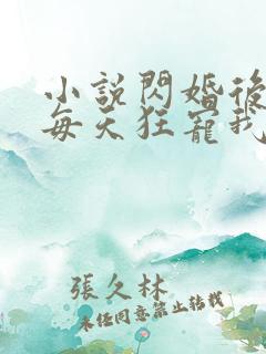 小说闪婚后大叔每天狂宠我