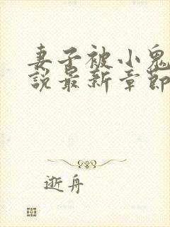 妻子被小鬼头小说最新章节内容