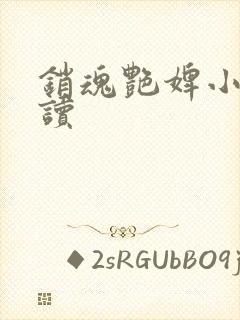 销魂艳婢小说阅读