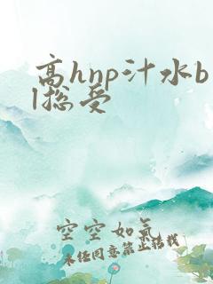 高hnp汁水bl总受