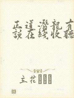 正道潜龙有声小说在线收听