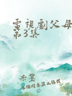 电视剧父母爱情第3集