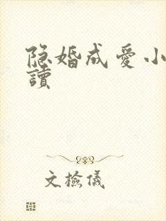 隐婚成爱小说阅读
