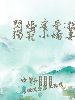 闪婚蜜爱:总裁独宠小娇妻