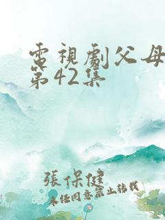 电视剧父母爱情第42集