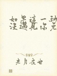 如果这一秒,我没遇见你免费阅读