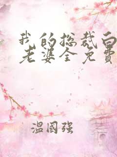 我的总裁白富美老婆全免费的小说