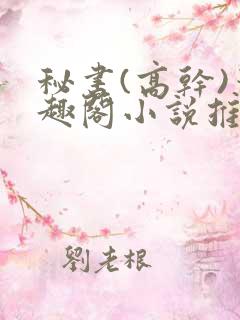 秘书(高干)笔趣阁小说推荐
