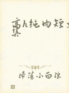高h纯肉短文合集