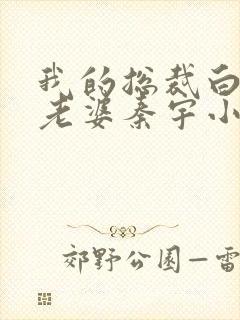我的总裁白富美老婆秦宇小说目录