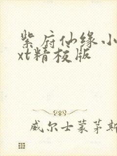 紫府仙缘小说txt精校版