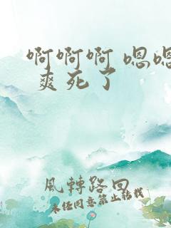 啊啊啊 嗯嗯嗯 爽死了