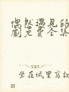 偶然遇见的你短剧免费全集免费播放