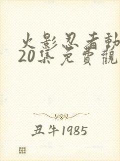 火影忍者动漫720集免费观看