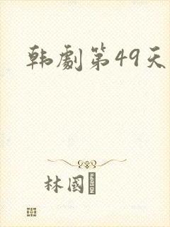 韩剧第49天